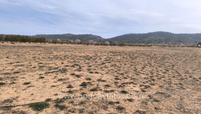 Te koop - Perceel - Land - Villena - Villena Centro