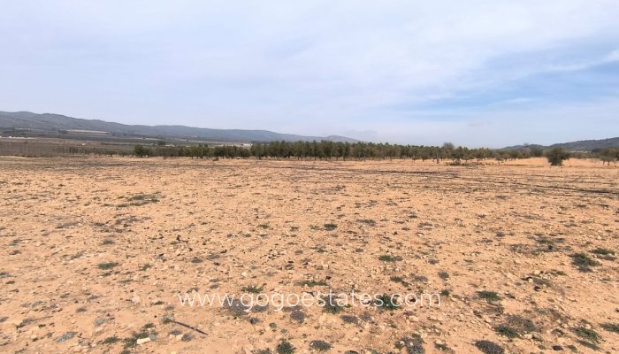 Te koop - Perceel - Land - Villena - Villena Centro