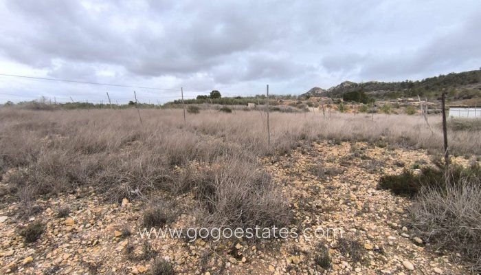 Te koop - Huis - Finca - Cortijo - La Romana - La Romana Centro
