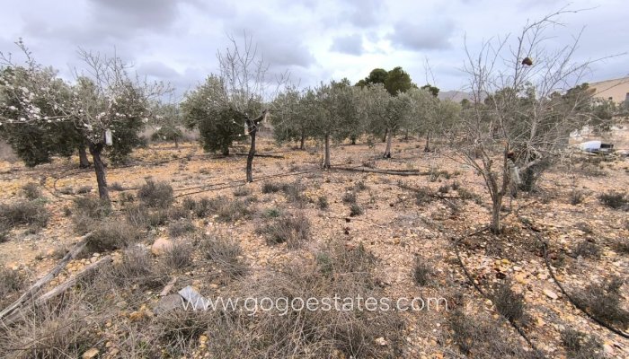 Te koop - Huis - Finca - Cortijo - La Romana - La Romana Centro