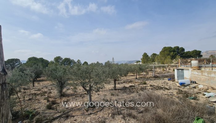 Te koop - Huis - Finca - Cortijo - La Romana - La Romana Centro