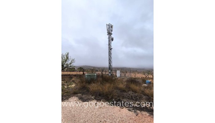 Wiederverkauf - Kommerziell - Sonstiges - La Romana - La Romana Centro