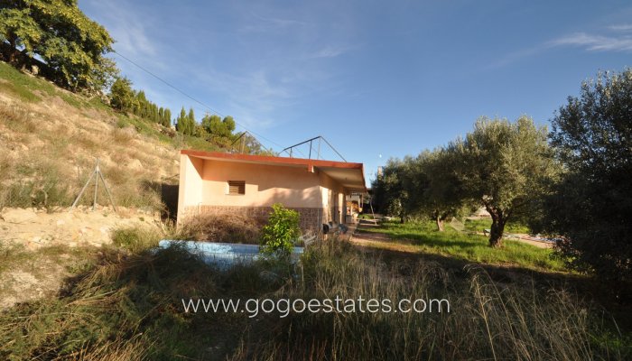 Te koop - Huis - Vrijstaande Villa - Aspe - Aspe Centro