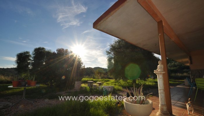 Te koop - Huis - Vrijstaande Villa - Aspe - Aspe Centro