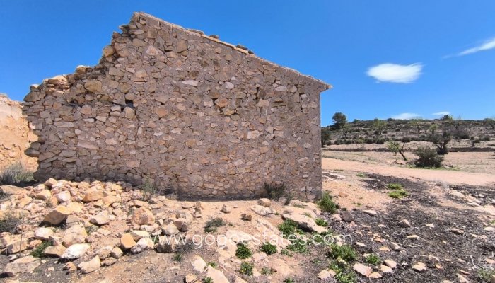 Te koop - Huis - Finca - Cortijo - Pinoso - Pinoso Centro