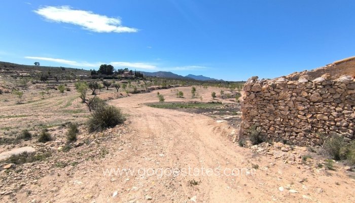 Te koop - Huis - Finca - Cortijo - Pinoso - Pinoso Centro