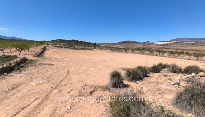 Te koop - Huis - Finca - Cortijo - Pinoso - Pinoso Centro