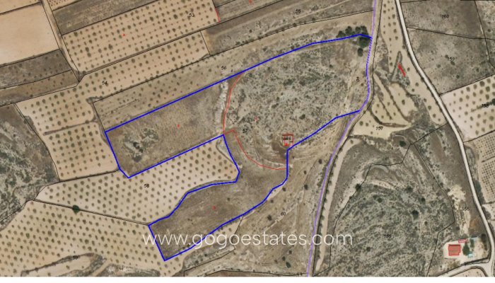 Te koop - Huis - Finca - Cortijo - Pinoso - Pinoso Centro