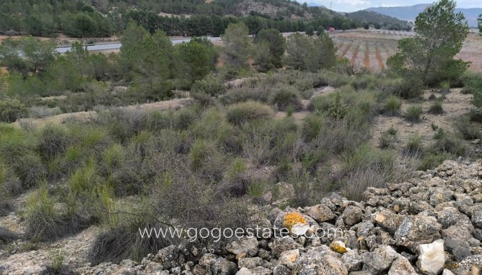 Te koop - Perceel - Land - Monóvar - Monòver - Chinorlet