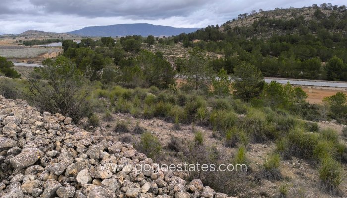 Te koop - Perceel - Land - Monóvar - Monòver - Chinorlet