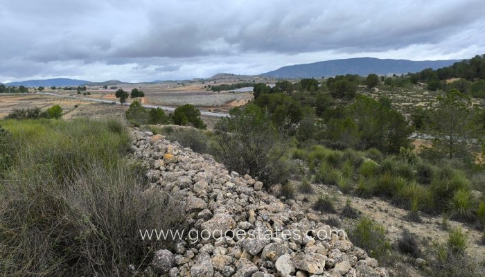 Te koop - Perceel - Land - Monóvar - Monòver - Chinorlet