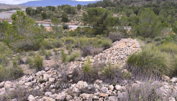 Te koop - Perceel - Land - Monóvar - Monòver - Chinorlet