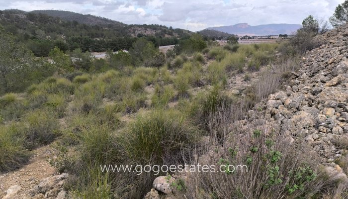 Te koop - Perceel - Land - Monóvar - Monòver - Chinorlet