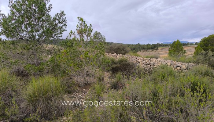 Te koop - Perceel - Land - Monóvar - Monòver - Chinorlet