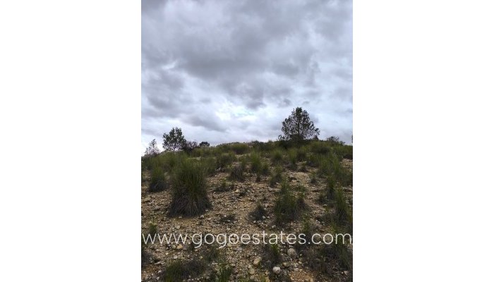 Te koop - Perceel - Land - Monóvar - Monòver - Chinorlet