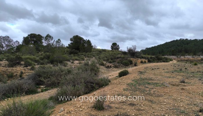 Te koop - Perceel - Land - Monóvar - Monòver - Chinorlet