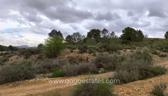 Te koop - Perceel - Land - Monóvar - Monòver - Chinorlet