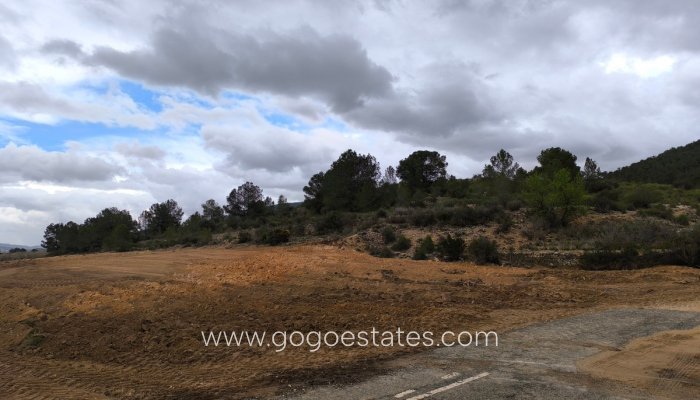 Te koop - Perceel - Land - Monóvar - Monòver - Chinorlet