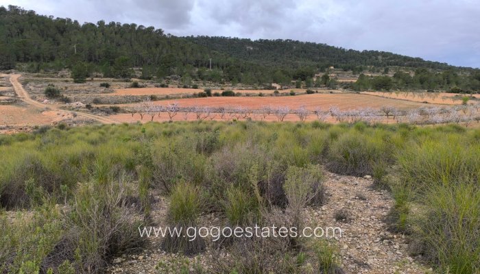 Te koop - Perceel - Land - Monóvar - Monòver - Chinorlet