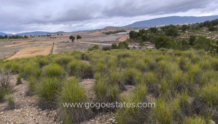 Te koop - Perceel - Land - Monóvar - Monòver - Chinorlet