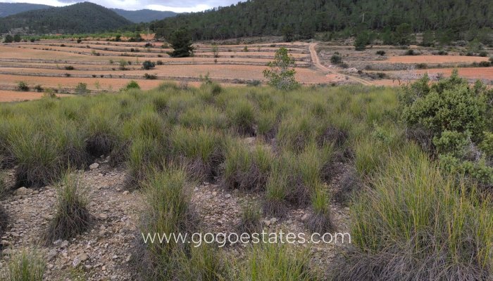 Te koop - Perceel - Land - Monóvar - Monòver - Chinorlet