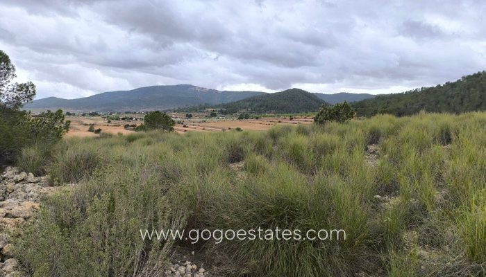 Te koop - Perceel - Land - Monóvar - Monòver - Chinorlet