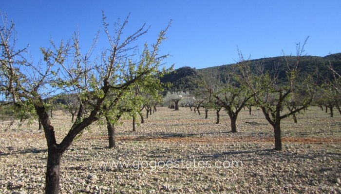 Te koop - Perceel - Land - Villena - Villena Centro