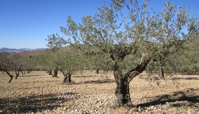 Te koop - Perceel - Land - Villena - Villena Centro