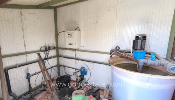 Te koop - Perceel - Land - Pinoso - Pinoso Centro