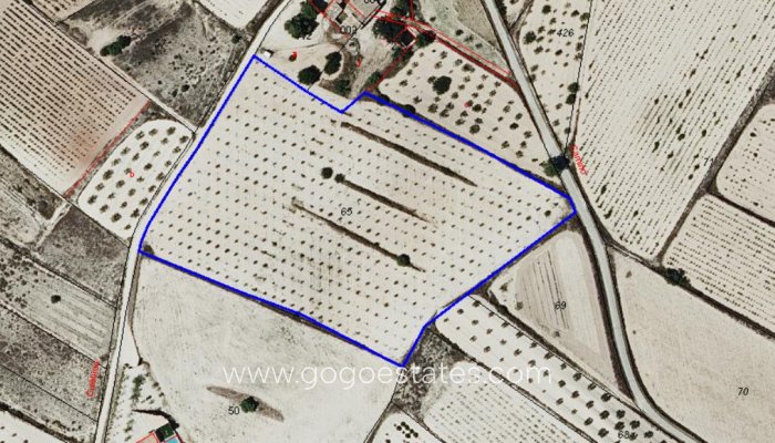 Te koop - Perceel - Land - Pinoso - Pinoso Centro