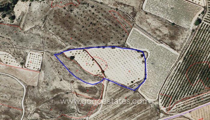 Te koop - Perceel - Land - Monóvar - Monòver - Monóvar - Monòver Centro