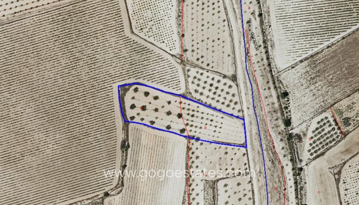 Te koop - Perceel - Land - Pinoso - Pinoso Centro