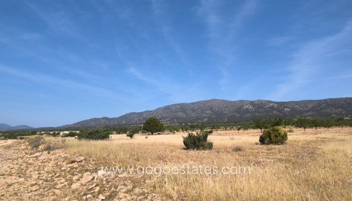 Te koop - Perceel - Land - Monóvar - Monòver - Monóvar - Monòver Centro