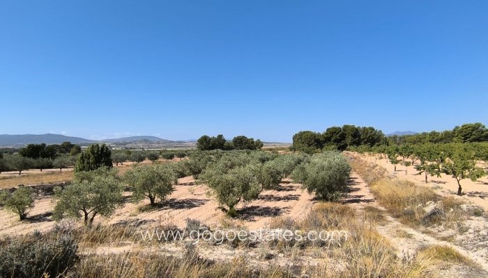 Te koop - Perceel - Land - Monóvar - Monòver - Monóvar - Monòver Centro