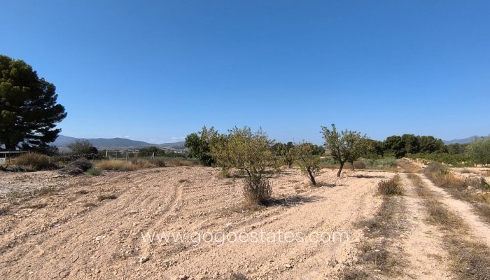 Te koop - Perceel - Land - Monóvar - Monòver - Monóvar - Monòver Centro