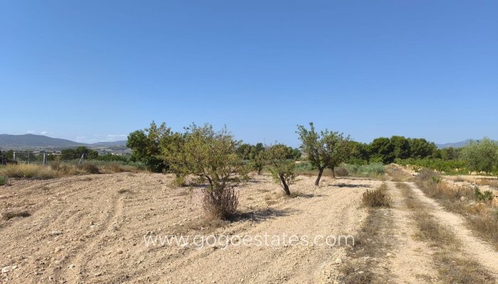 Te koop - Perceel - Land - Monóvar - Monòver - Monóvar - Monòver Centro