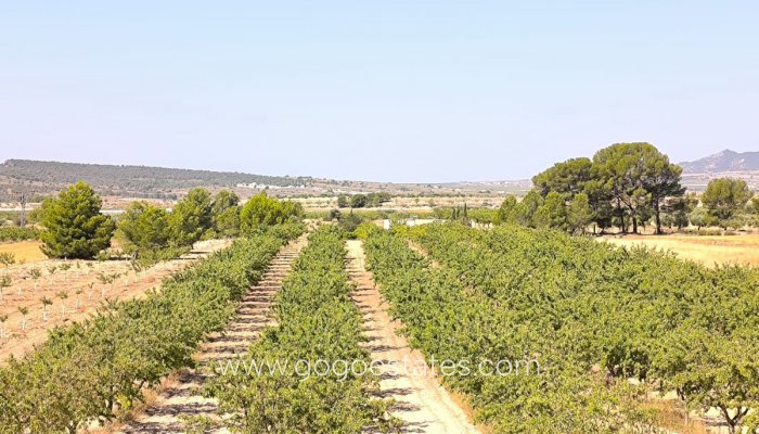 Te koop - Perceel - Land - Monóvar - Monòver - Monóvar - Monòver Centro