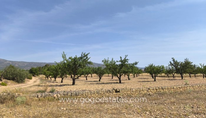 Te koop - Perceel - Land - Monóvar - Monòver - Monóvar - Monòver Centro