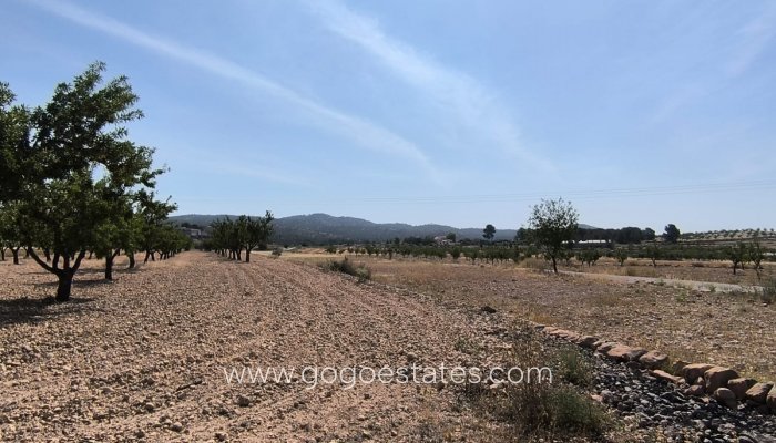 Te koop - Perceel - Land - Monóvar - Monòver - Monóvar - Monòver Centro