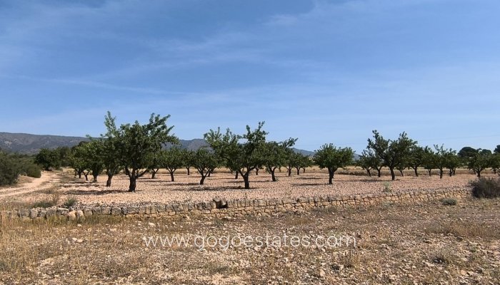 Te koop - Perceel - Land - Monóvar - Monòver - Monóvar - Monòver Centro