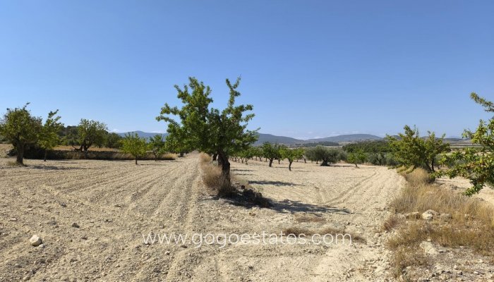 Te koop - Perceel - Land - Monóvar - Monòver - Monóvar - Monòver Centro