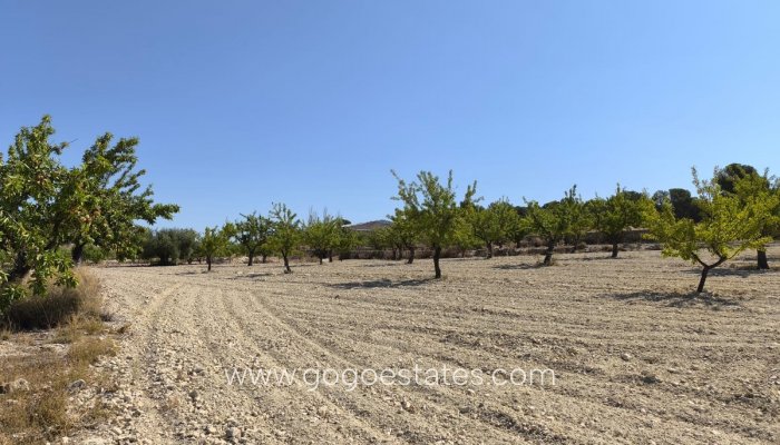 Te koop - Perceel - Land - Monóvar - Monòver - Monóvar - Monòver Centro