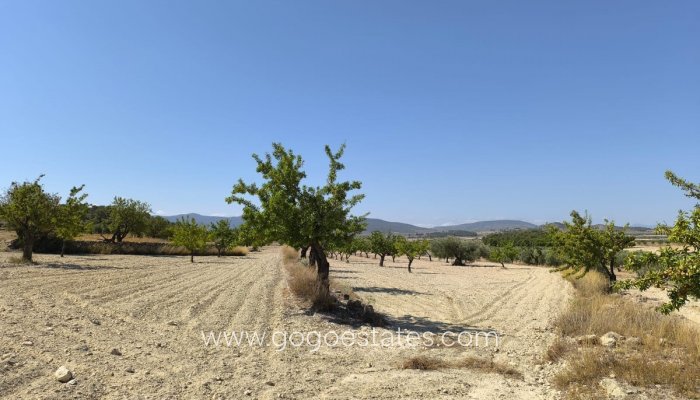 Te koop - Perceel - Land - Monóvar - Monòver - Monóvar - Monòver Centro