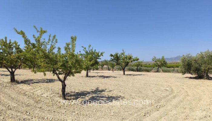 Te koop - Perceel - Land - Monóvar - Monòver - Monóvar - Monòver Centro