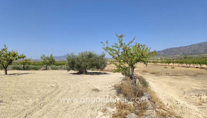 Te koop - Perceel - Land - Monóvar - Monòver - Monóvar - Monòver Centro