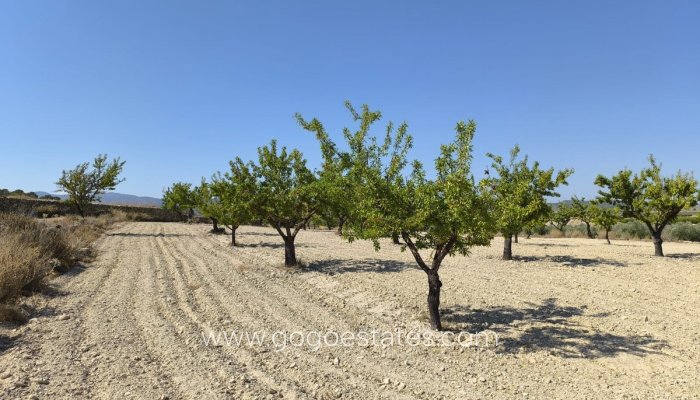 Te koop - Perceel - Land - Monóvar - Monòver - Monóvar - Monòver Centro