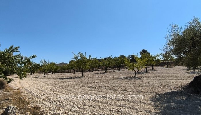 Te koop - Perceel - Land - Monóvar - Monòver - Monóvar - Monòver Centro
