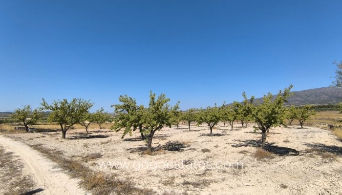 Resale - Plot - Land - Monóvar - Monòver - Monóvar - Monòver Centro