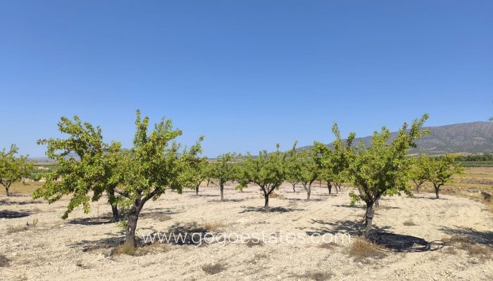 Resale - Plot - Land - Monóvar - Monòver - Monóvar - Monòver Centro