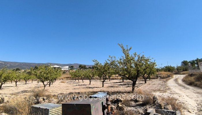 Resale - Plot - Land - Monóvar - Monòver - Monóvar - Monòver Centro